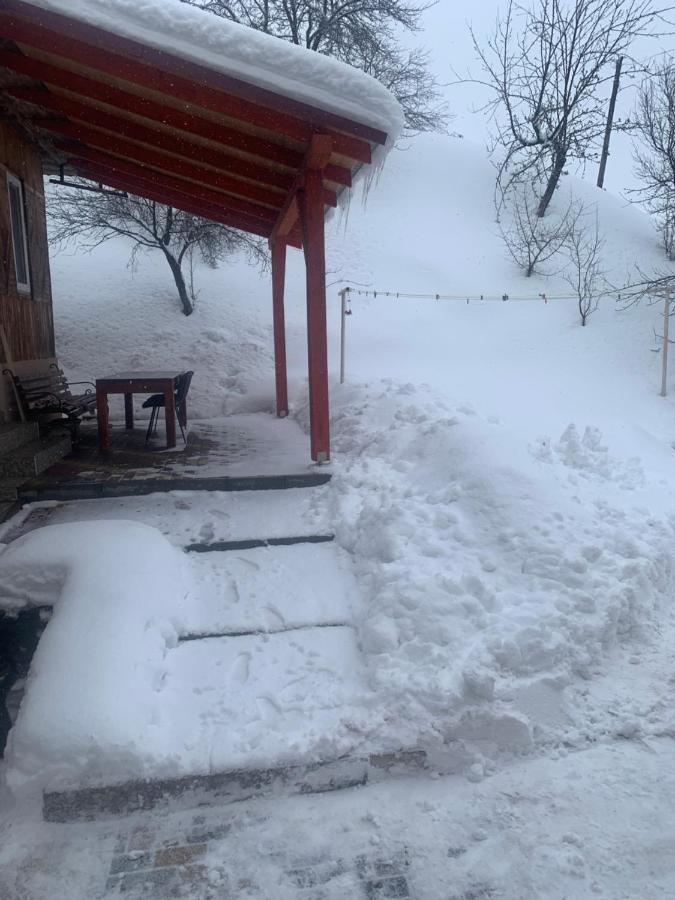 Cottage house Podobovets Exterior photo