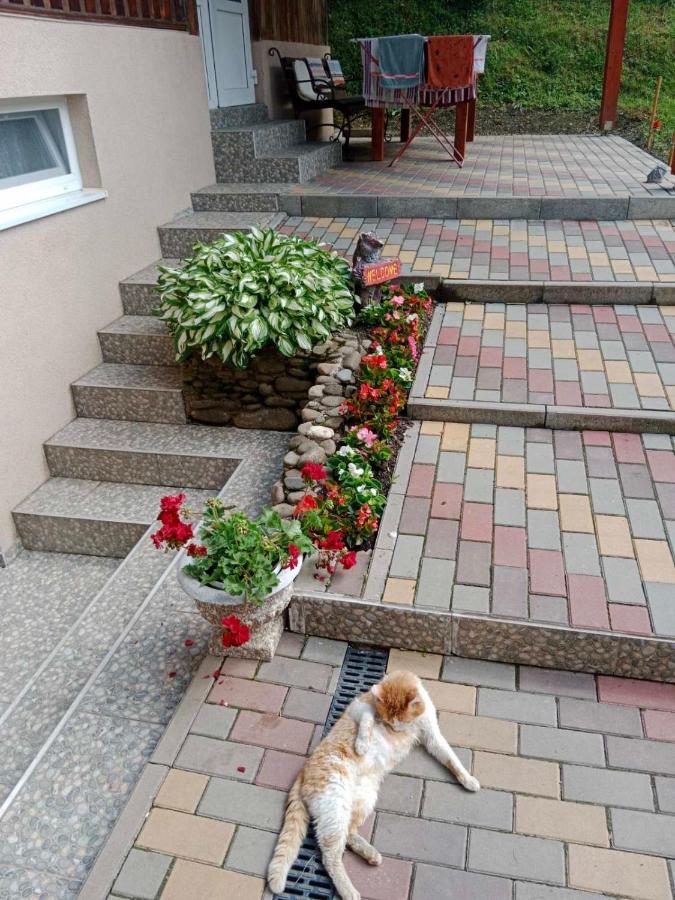 Cottage house Podobovets Exterior photo